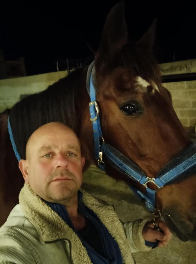 White Stallion Mellieħa Zewnętrze zdjęcie