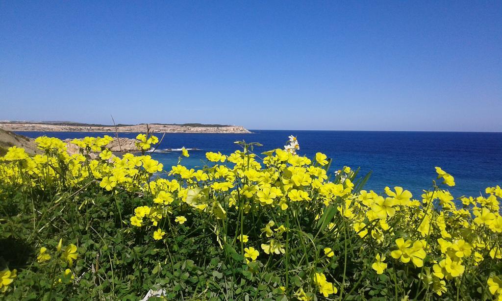 White Stallion Mellieħa Zewnętrze zdjęcie