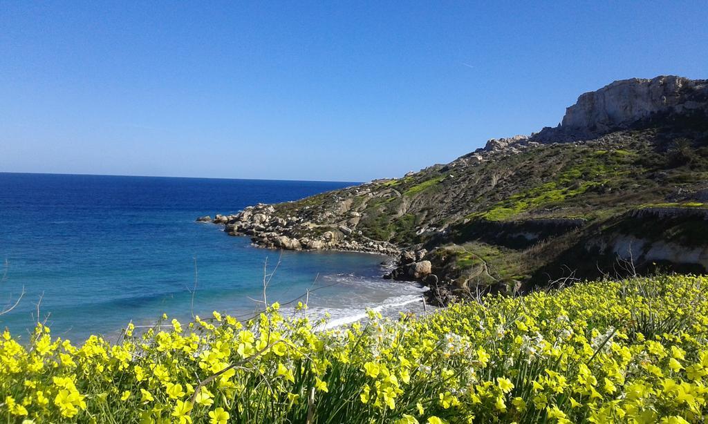 White Stallion Mellieħa Zewnętrze zdjęcie